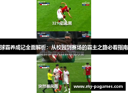 球霸养成记全面解析:从校园到赛场的霸主之路必看指南 球霸养成记全面解析:从校园到赛场的霸主之路必看指南