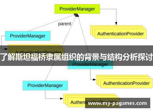 了解斯坦福桥隶属组织的背景与结构分析探讨