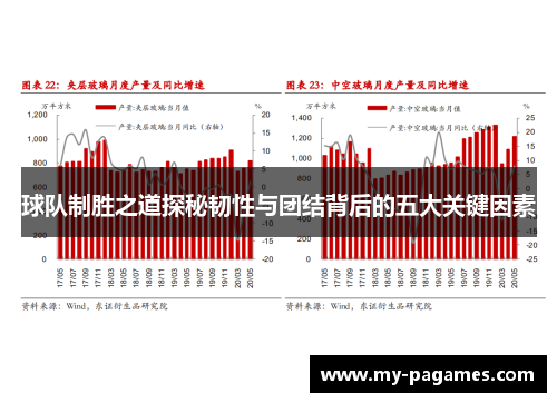 球队制胜之道探秘韧性与团结背后的五大关键因素