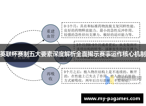 英联杯赛制五大要素深度解析全面揭示赛事运作核心机制