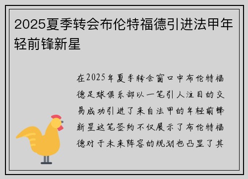 2025夏季转会布伦特福德引进法甲年轻前锋新星